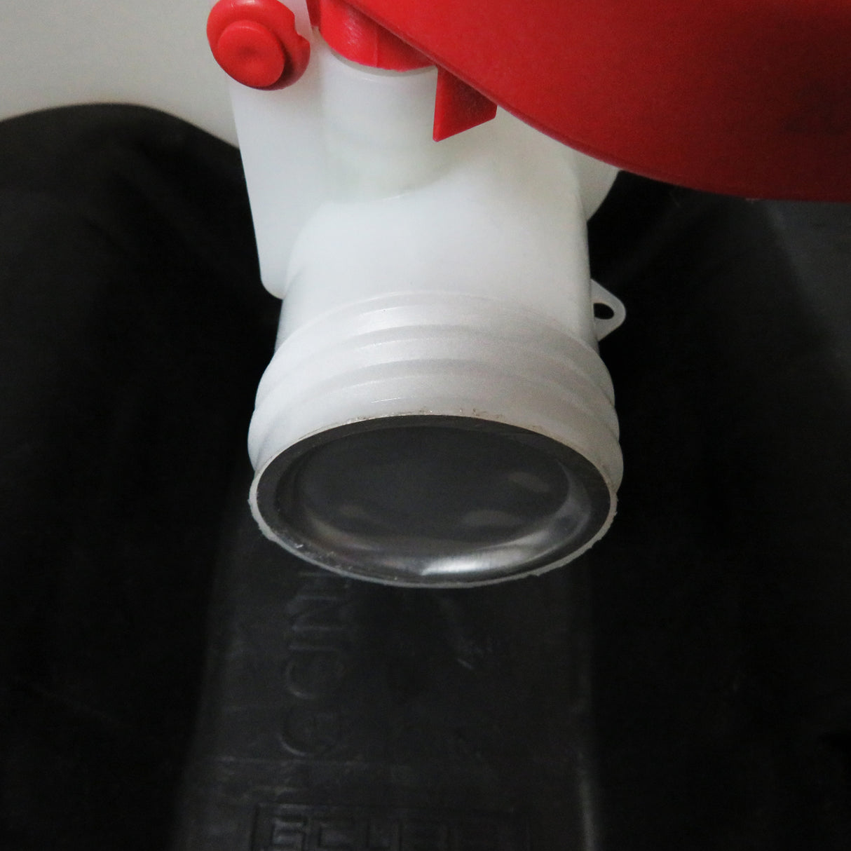 LA_1000_RIBC_1008_Hahn