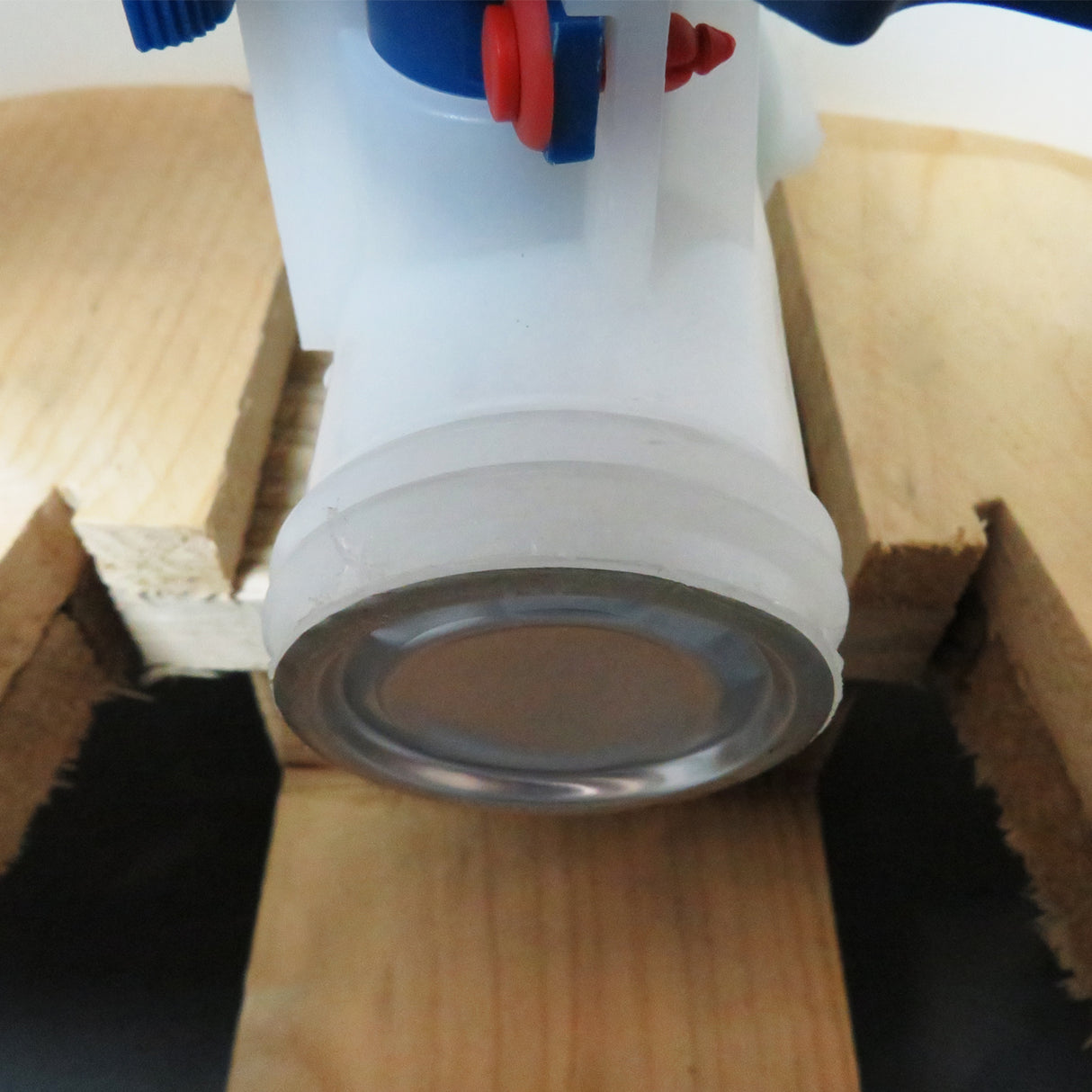 LA_1000_RIBC_1012_Hahn